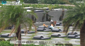'셀럽병사' 구준엽, 1년째 故서희원 묘소 지키고 있는 모습 포착 