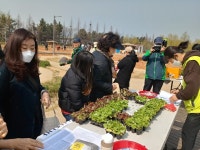 연수구 도시텃밭 3곳 개장