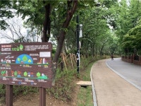 도심 속 물과 숲 어우러진 ‘걷고 싶은 길’...부평둘레길 조성 마무리
