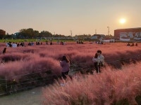 평택시 바람새마을 소풍정원 가장 안전하고 편안한 여행지 전국 7위