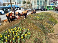 남동구, 가로수길 봄꽃으로 새 단장