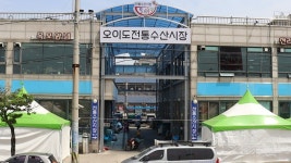 [경기전통시장톡톡②] 먹거리부터 볼거리까지 오이도수산전통시장