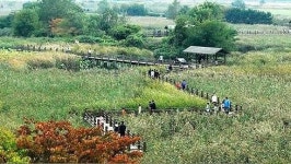 안산갈대습지 재개장...휴장 5개월여 만