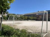 인천 학교체육 폭력사건, 관행화된 솜방망이 처벌