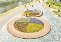 안양시, 안양천·학의천 산책로 봄꽃 단장