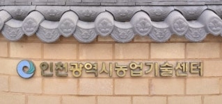 인천시, 라이브커머스 기초부터 홍보컨텐츠 농업인 교육생 모집