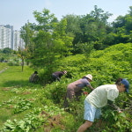 [경기마을공동체④] 갈매마을 환경실천단, 아이와 환경 위해 뭉쳤다!