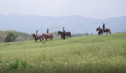 이천시, 농촌관광 승마활성화 지원사업 12월까지 진행