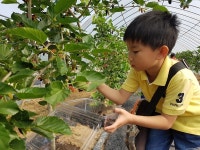 [경기마을공동체⑤] 교동 장독대마을, 공동체가 운영하는 보고 듣고 먹는 농촌체험!
