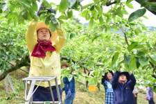 진주시, 농번기 농촌 일손돕기 본격적으로 전개 