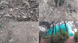 상쾌한 공기 마시러 간 진주 선학산에서 웬 담배연기?