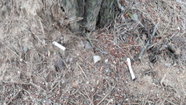 진주 선학산 등산로에서의 흡연 계도·단속 ‘강화’