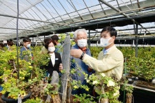 변광용 거제시장 거제섬꽃축제 가을꽃전시 준비 점검