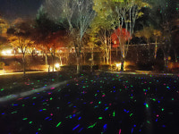 밀양 표충비각 불빛공원 반딧불이 보러 오세요