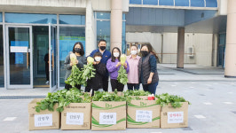 함안군 가족봉사단 수확 농산물 기부