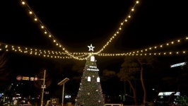 거창크리스마스트리문화축제 ‘사랑과 희망의 빛’ 밝혀