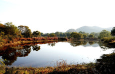 창녕 우포늪, 합천 해인사·황매산군립공원…한국관광 100선 선정
