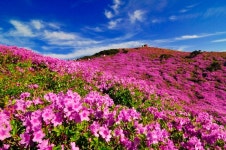 합천군 7가지 색깔 걷기 챌린지 행사 연다