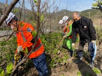 김용운 전 거제 일운면장 수국 기증