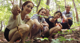 D-150일 ‘2021함양산삼항노화엑스포’…본격 카운트다운 들어갔다