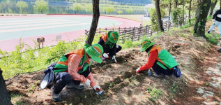 진주 평거동 강변길 꽃길 조성했다