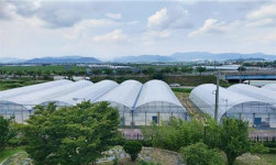 김해시 청년농업인 경영실습 임대농장 2곳 준공했다