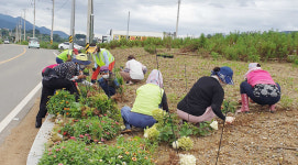 양산 상북면, 가을꽃으로 물들다