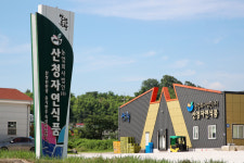 자연에 가깝게 키운 ‘산청 유기 한우’…먹는 맛이 다르다