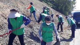 사천시 동서동 실안노을길 산책로 유채꽃밭 조성