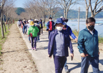 의령군 화정면 나루마을 뚝방 걷기대회