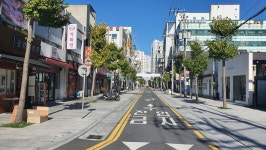거제 고현동 가로수길 아름다운 색감 도시 물들여