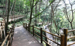 거창 항노화힐링랜드…명품 산림관광지로 인기 끌고 있다