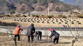 거창사건 추모공원 꽃단지 조성 정비작업