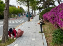 거제 장승포동, 관광철 대비 녹지 환경정비