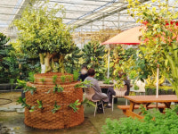 통영 동백커피식물원서 잠시 쉬어가세요