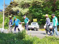 진주 집현면, ‘산들산들 코스모스 꽃길’ 조성