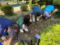통영 벽방초, 멸종위기 식물이 있는 꽃 화단 조성