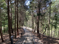 호수와 바람 & 피톤치드… 오감만족 ‘진양호공원’