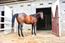 “우리는 주말에 말(馬) 타러 간다”…말과 사람의 행복한 동행, 함안군 승마공원