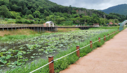 양산시, 본법마을 생태공원 준공