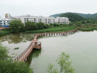 합천 정양늪…자연과 인간의 생명 이어주는 징검다리