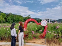 창원특례시 하수도사업소,‘덕동맑은물 플라워가든’ 개방