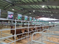 거창군, 스마트가축경매시장 준공