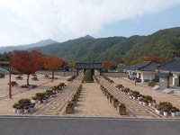 거창사건추모공원, 제15회 국화 관람회 준비 한창