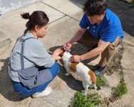 ‘동물등록’ 진주시가 찾아갑니다!