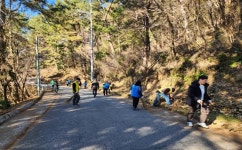 통영시 명정동, 설맞이 대대적 환경정비 실시