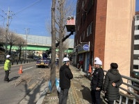 마산회원구청장, 가로수 가지치기 현장 점검
