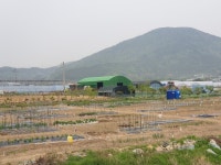 2024년 거제시 도시민 주말농장 참여자 선착순 모집