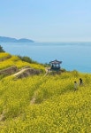 [ 경남 방방곡곡 ] - 남해, 다랭이 마을