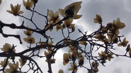 [걸어서 동네 한 바퀴] - 주천강 남포리